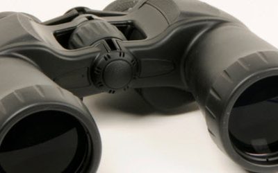 Scoping Out Your Competition