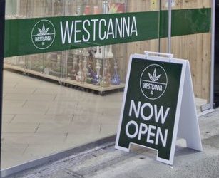 Best Store Fixtures for Cannabis Shops and Dispensaries
