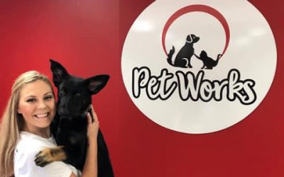 Pet Store gondola shelving achieves high-end shopping experience on a budget